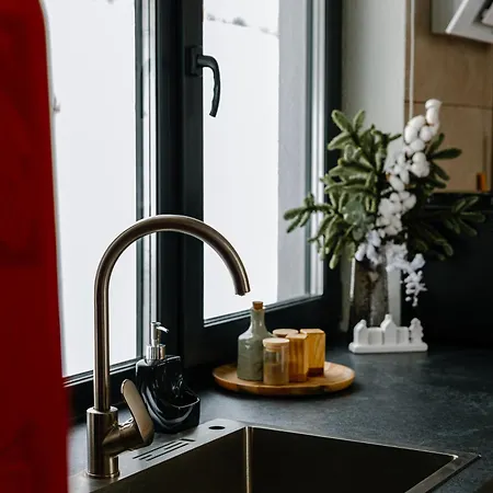 Villa Vershok *